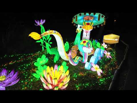 Vorschaubild zu Lichterfestival 2025 Serengeti Park Hodenhagen